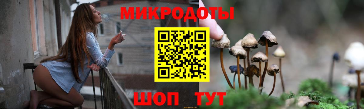Псилоцибиновые грибы мицелий  как найти закладки  Вольск  Вход с VPN  Галлюциногенные грибы прущие грибы 